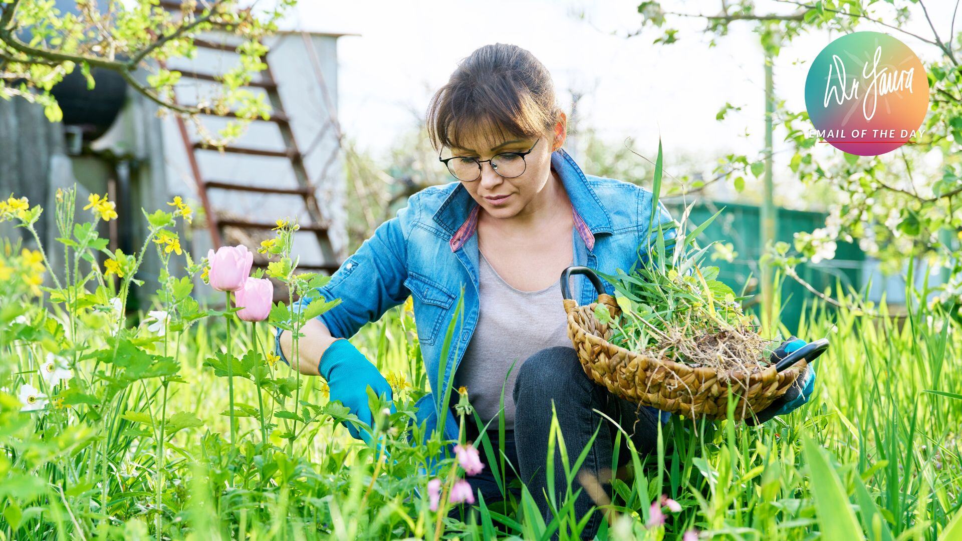 Email of the Day: Weeding Your Garden