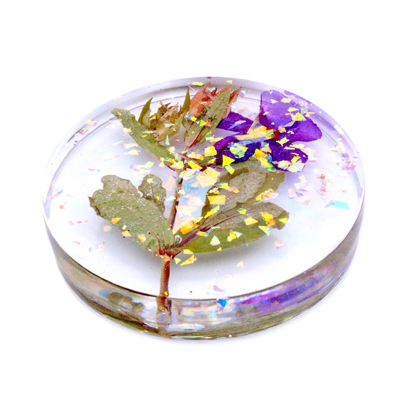 Paperweight #2 image 1