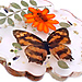 Butterfly Coasters thumbnail2